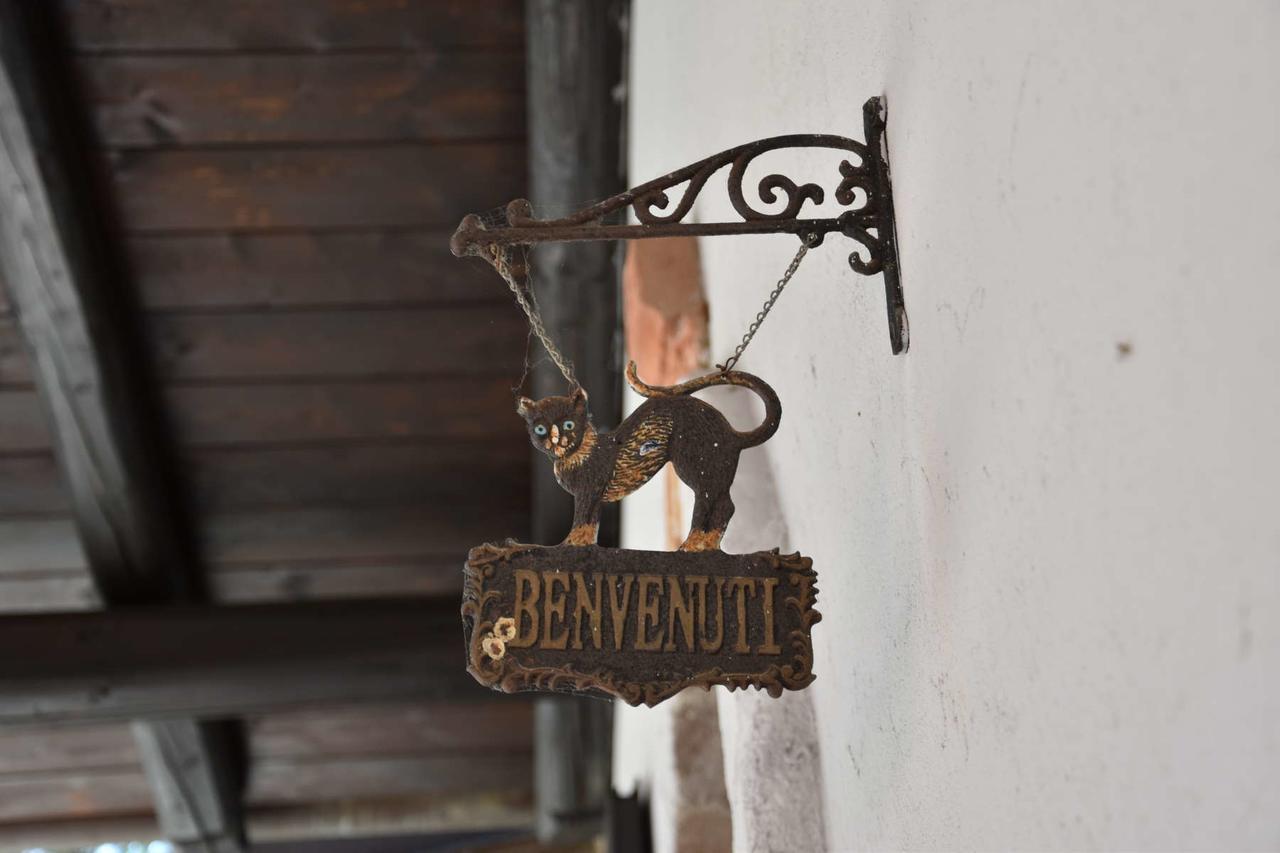 B&B La Dolce Vita Priocca Екстер'єр фото